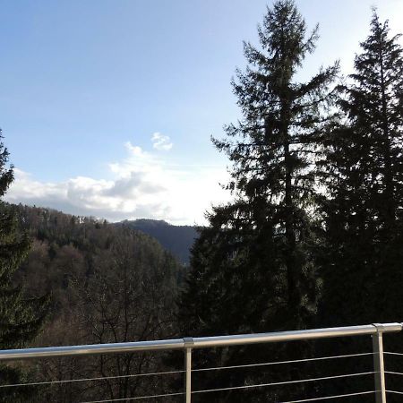 Gite Esperanza Spa Et Sauna Haselbourg Екстериор снимка